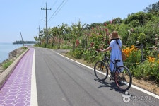  버스  남도으뜸  신안 퍼플 섬   목포 근대거리   나주 산림욕 (1박2일) : 인터파크투어 내륙테마
