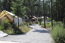 블랙트리캠핑 레저스포츠 정보와 주변 관광 명소 및 근처 맛집 여행 정보