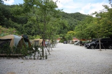 봉화솔향가득서울시캠핑장 레저스포츠 정보와 주변 관광 명소 및 근처 맛집 여행 정보