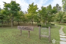 호텔정관루별관(콘도별장) - 주변 여행 및 근처 관광 명소 - 국내 여행 정보와 관광 명소 정보