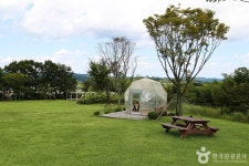 해뜰목장 관광 정보와 주변 관광 명소 및 근처 맛집 여행 정보