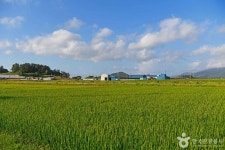 오산어촌체험마을 관광 정보와 주변 관광 명소 및 근처 맛집 여행 정보