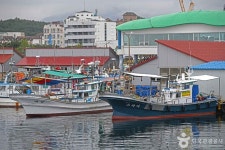 낙산항 관광 정보와 주변 관광 명소 및 근처 맛집 여행 정보