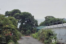 서귀포 알토산마을 관광 정보와 주변 관광 명소 및 근처 맛집 여행 정보