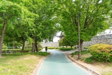 장안공원 관광 정보와 주변 관광 명소 및 근처 맛집 여행 정보