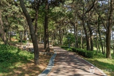 초전공원 관광 정보와 주변 관광 명소 및 근처 맛집 여행 정보