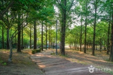 운암지 수변공원 - 주변 여행 및 근처 관광 명소 - 국내 여행 정보와 관광 명소 정보