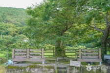 무지돌이마을 관광 정보와 주변 관광 명소 및 근처 맛집 여행 정보