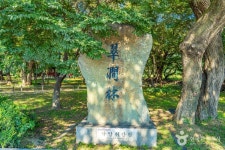 악양 취간림 관광 정보와 주변 관광 명소 및 근처 맛집 여행 정보