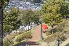 서피랑공원 관광 정보와 주변 관광 명소 및 근처 맛집 여행 정보