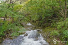 국립 운장산자연휴양림 관광 정보와 주변 관광 명소 및 근처 맛집 여행 정보