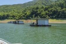 월명낚시터 레저스포츠 정보와 주변 관광 명소 및 근처 맛집 여행 정보