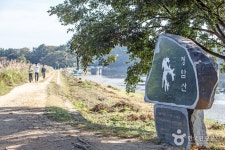 숲나들e - 여행정보 |