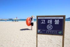 고래가 헤엄치던 그 바다, 영덕 고래불해수욕장 - 여행플래너 | 구석구석 떠나볼까 | 대한민국구석구석