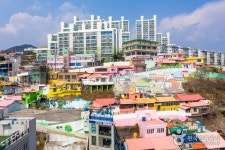 여수 봉황산자연휴양림 - 여행정보 |