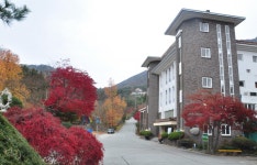 성암국제수련원 레저스포츠 정보와 주변 관광 명소 및 근처 맛집 여행 정보