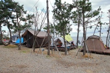 유림식당 - 주변 여행 및 근처 관광 명소 - 국내 여행 정보와 관광 명소 정보