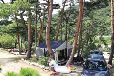 솔방울 펜션캠핑장 레저스포츠 정보와 주변 관광 명소 및 근처 맛집 여행 정보