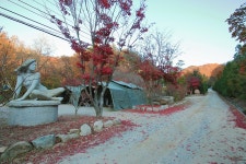 횡성자연휴양림 - 주변 여행 및 근처 관광 명소 - 국내 여행 정보와 관광 명소 정보