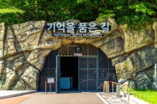 통리탄탄파크 관광 정보와 주변 관광 명소 및 근처 맛집 여행 정보