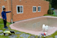 한별도그파크 레저스포츠 정보와 주변 관광 명소 및 근처 맛집 여행 정보