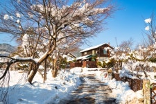 사랑대게 - 주변 여행 및 근처 관광 명소 - 국내 여행 정보와 관광 명소 정보