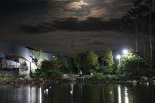 예천 삼강주막 나루터축제 최신 축제 공연 행사 정보와 주변 관광 명소 및 근처 맛집 여행 정보