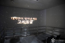 영월 동굴생태관 문화 정보와 주변 관광 명소 및 근처 맛집 여행 정보