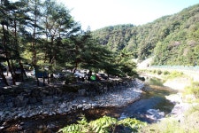 평창강힐링하우스 - 주변 여행 및 근처 관광 명소 - 국내 여행 정보와 관광 명소 정보