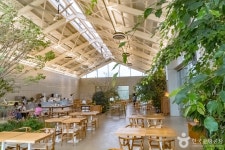 시드누아 음식점 정보와 주변 관광 명소 및 근처 맛집 여행 정보