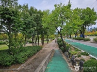 청춘양구레포츠공원 관광 정보와 주변 관광 명소 및 근처 맛집 여행 정보