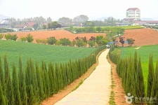 안성팜랜드 관광 정보와 주변 관광 명소 및 근처 맛집 여행 정보