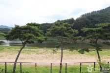 괴산 정인지 묘소 - 주변 여행 및 근처 관광 명소 - 국내 여행 정보와 관광 명소 정보