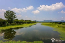 양씨삼강문 - 주변 여행 및 근처 관광 명소 - 국내 여행 정보와 관광 명소 정보