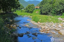 한드미마을 관광 정보와 주변 관광 명소 및 근처 맛집 여행 정보