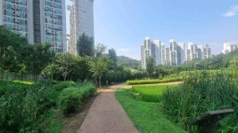 관광 - 국내 여행 정보와 관광 명소 정보