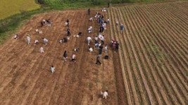 자우리호텔 당진점 - 주변 여행 및 근처 관광 명소 - 국내 여행 정보와 관광 명소 정보