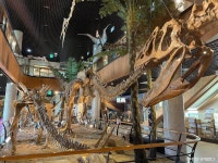 안면도 쥬라기박물관 문화 정보와 주변 관광 명소 및 근처 맛집 여행 정보