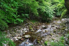 쇠바우골탄광문화장터 - 주변 여행 및 근처 관광 명소 - 국내 여행 정보와 관광 명소 정보