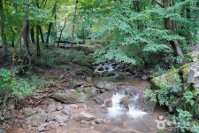 와룡자연휴양림 관광 정보와 주변 관광 명소 및 근처 맛집 여행 정보