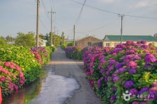 [제주올레 11코스] 모슬포-무릉 올레 - 주변 여행 및 근처 관광 명소 - 국내 여행 정보와 관광 명소 정보