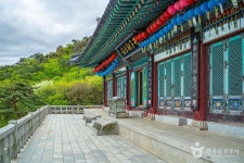 삼봉김포공항국제선점 | 여행지 정보 < 여행정보 | 김포국제공항(국문) 여행지 정보