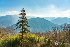 금대암 관광 정보와 주변 관광 명소 및 근처 맛집 여행 정보
