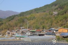 두계외갓집체험마을 관광 정보와 주변 관광 명소 및 근처 맛집 여행 정보