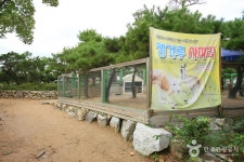 テーマ動物園ジュジュ（ZooZoo）（테마동물원 쥬쥬） - 観光 - 韓国旅行・観光情報