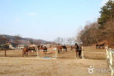 레이크밸리 승마클럽 레저스포츠 정보와 주변 관광 명소 및 근처 맛집 여행 정보