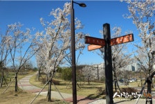 화합공원 - 주변 여행 및 근처 관광 명소 - 국내 여행 정보와 관광 명소 정보