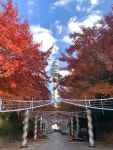 E-World (이월드) - Sightseeing - Korea travel and tourism information