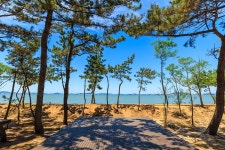 무안낙지공원 - 주변 여행 및 근처 관광 명소 - 국내 여행 정보와 관광 명소 정보