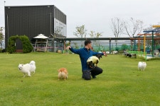 한별도그파크 레저스포츠 정보와 주변 관광 명소 및 근처 맛집 여행 정보